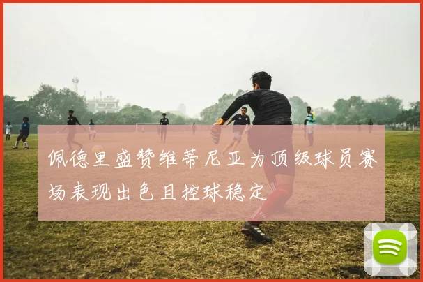 佩德里盛赞维蒂尼亚为顶级球员赛场表现出色且控球稳定